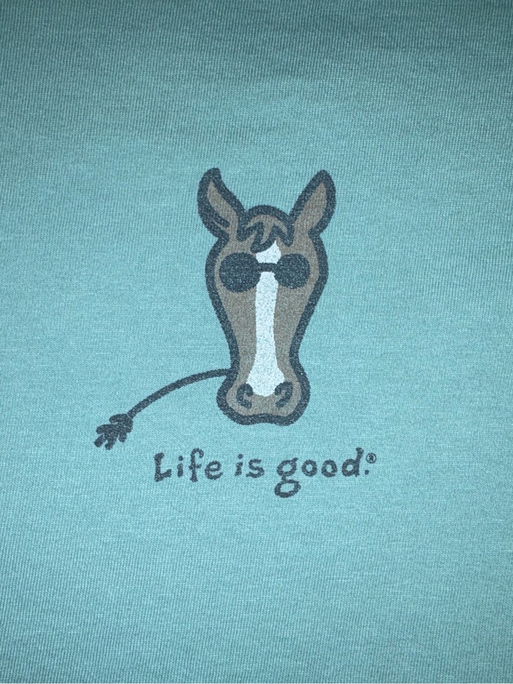 Life Is Good Horse Tee Aqua Teal Turquoise Long Sleeve Ladies XL